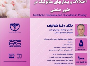 بیماریهای متابولیک از مهمترین بیماریها در طیور صنعتی می باشند که ارتباط مستقیمی با جیره غذایی طیور دارند.