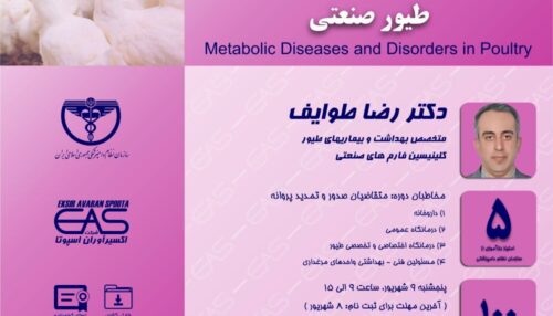 بیماریهای متابولیک از مهمترین بیماریها در طیور صنعتی می باشند که ارتباط مستقیمی با جیره غذایی طیور دارند.
