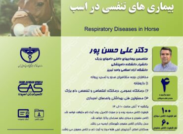بیماری های تنفسی در اسب یخصوص در اسب های ورزشی از اهمیت ویژه ای برخوردار هستند.