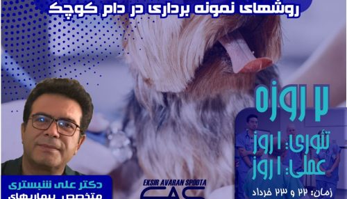معاینات بالینی و روش های اخذ نمونه از بیمار از ارکان مهم تشخیص اختلالات و بیماری ها در طب داخلی حیوانات کوچک می باشند.