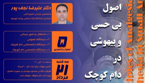 بی حسی و بیهوشی از مهمترین اقدامات در جراحی های حیوانات کوچک می باشد.
