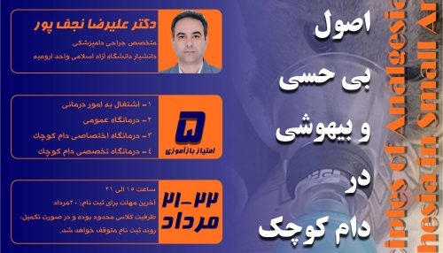 بی حسی و بیهوشی از مهمترین اقدامات در جراحی های حیوانات کوچک می باشد.