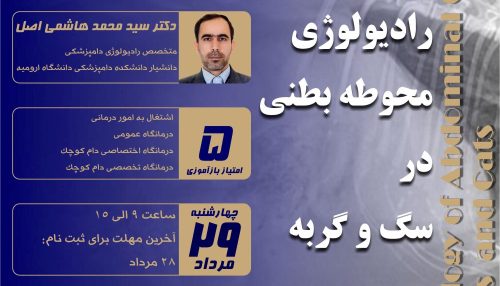 تشخیص رادیوگرافیکی بیماری ها و اختلالات اندام های محوطه بطنی یکی از رایج ترین روش های کمک تشخیص در طب حیوانات کوچک می باشد.
