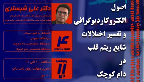 الکتروکاردیوگرافی یکی از راه های مهم تشخیص اختلالات ریتم قلب می باشد.