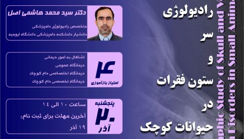 مهمترین اندام های بدن یعنی مغز و نخاع در ناحیه سر و ستون مهره ها قرار دارند.