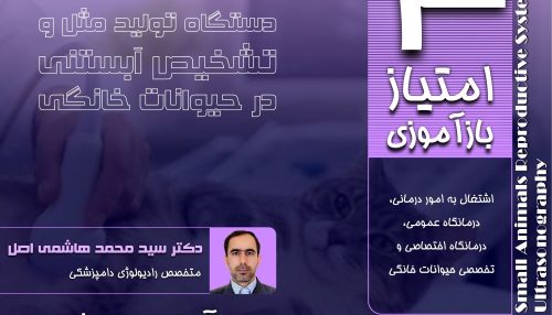 یکی از روش های متداول تشخیص آبستنی در حیوانات کوچک، سونوگرافی می باشد.